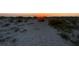Sandy beach view featuring lush beach vegetation with a gorgeous sunset in the distance at 401 Sunset Dr, Venice, FL 34285