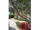 Charming home featuring colorful buoys, lush plants, and a well manicured front yard at 401 Sunset Dr, Venice, FL 34285