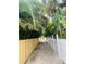 Neighborhood walkway between two fences bordered by lush tropical landscaping and palm trees at 401 Sunset Dr, Venice, FL 34285