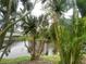 Scenic water view with lush landscaping, mature trees, and a bridge in the background at 401 Sunset Dr, Venice, FL 34285