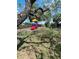 Community playground with a colorful slide and mature trees, perfect for children to play and explore at 15515 Morning Dr, Lutz, FL 33559