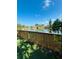 Scenic pond view with lush green lawn and mature trees creating a serene outdoor setting at 15515 Morning Dr, Lutz, FL 33559