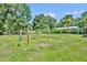 Established vineyard featuring rows of grape vines supported by posts, in a lush, grassy field at 13091 Old Crystal River Rd, Brooksville, FL 34601