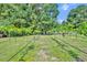 Rows of grapevines in a well-maintained vineyard, showcasing agricultural potential of the property at 13091 Old Crystal River Rd, Brooksville, FL 34601