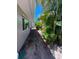 Side yard featuring lush vegetation and a view of the house's exterior, offering a serene outdoor space at 4571 Clearwater Harbor S Dr, Largo, FL 33770
