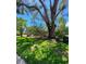 Green lawn and mature trees provide a lush, natural setting in the front yard at 4571 Clearwater Harbor S Dr, Largo, FL 33770