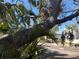 Landscape view of trees in yard looking towards waterfront, with another home in the background at 1612 Pocatello St, Sarasota, FL 34231