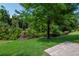 Serene backyard view with mature trees, lush greenery, and well-maintained lawn at 1188 Royal Blvd, Palm Harbor, FL 34684