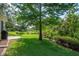 Well-maintained backyard offers a serene landscape with mature tree, grass, and pond at 1188 Royal Blvd, Palm Harbor, FL 34684