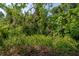Lush greenery and natural foliage enhances the backyard setting, providing privacy at 1188 Royal Blvd, Palm Harbor, FL 34684