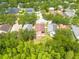 Aerial view of a single-Gathering home with mature trees and landscaping in a quiet neighborhood at 18941 Twinberry Dr, Tampa, FL 33647