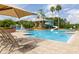Community pool with waterslides, tower, lounge chairs, and meticulously maintained grounds at 18941 Twinberry Dr, Tampa, FL 33647