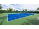 Brightly painted community tennis court with manicured landscaping and lighting for evening play at 18941 Twinberry Dr, Tampa, FL 33647