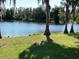 Lush backyard view with lake and mature trees draped with spanish moss on a sunny day at 18101 Boy Scout Rd, Odessa, FL 33556