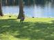 Beautiful lakefront backyard featuring a sandhill crane and mature trees at 18101 Boy Scout Rd, Odessa, FL 33556