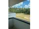 Beautiful balcony view of a lush green field and trees, offering a peaceful and scenic outdoor experience at 2518 Sunset Ln, Lutz, FL 33559
