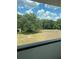 Serene balcony view of a lush field and mature trees, providing a tranquil outdoor retreat at 2518 Sunset Ln, Lutz, FL 33559