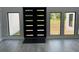 Modern front door surrounded by windows, offering natural light and a view of the outdoors at 2518 Sunset Ln, Lutz, FL 33559