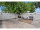 Backyard with a white fence, concrete patio, a grill, and a mature tree at 4444 5Th S Ave, St Petersburg, FL 33711