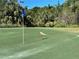Novelty view of an iguana on the manicured putting green, adding a unique Floridian wildlife touch at 536 Boundary Blvd, Rotonda West, FL 33947