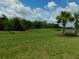 Expansive grassy backyard with trees and water feature at 13639 Salinas St, Venice, FL 34293
