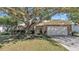 Image 1 of 46: 12224 Wildbrook Dr, Riverview
