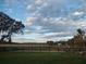 Open pasture with trees, fence, and partly cloudy sky at 8016 Carey Rd, Lithia, FL 33547