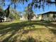 Spacious backyard featuring established trees and lush greenery at 750 Charlie Taylor Rd, Plant City, FL 33566