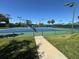 Well-maintained tennis courts with lush green surroundings, lighting for evening play, and a shaded viewing area at 19245 Wood Sage Dr, Tampa, FL 33647