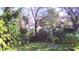 Lush backyard featuring trees and tropical plants, creating a private and serene atmosphere at 1413 May St, Lutz, FL 33548