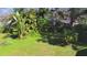 View of green backyard with plants and trees at 1413 May St, Lutz, FL 33548