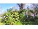 View of the backyard with lush landscaping and mature trees at 1413 May St, Lutz, FL 33548