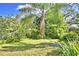 Lush green backyard featuring mature trees, tropical foliage, and a well-maintained lawn at 1413 May St, Lutz, FL 33548