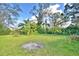 A large backyard with beautiful trees at 1413 May St, Lutz, FL 33548
