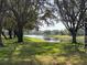 Scenic view of lake surrounded by trees in backyard at 8623 Snowy Owl Way, Tampa, FL 33647