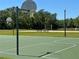 A basketball court featuring green surfacing, hoops, and picturesque natural surroundings at 8623 Snowy Owl Way, Tampa, FL 33647