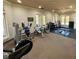 A fully-equipped gym with weights, benches and machines features large windows at 8623 Snowy Owl Way, Tampa, FL 33647