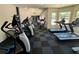 Well-equipped gym featuring treadmills, ellipticals, and other exercise machines on a black and grey checkered floor at 8623 Snowy Owl Way, Tampa, FL 33647