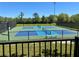 This is a view of a pickleball court surrounded by green grass and a black fence at 8623 Snowy Owl Way, Tampa, FL 33647