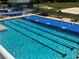 A large swimming pool with crystal clear water is partially covered by a blue protective material at 8623 Snowy Owl Way, Tampa, FL 33647