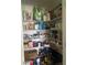 Organized pantry with ample shelving space for storing food and household items at 3511 Marigold Patch Ct, Plant City, FL 33565