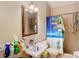 Standard bathroom with a mirror and shower with tropical-themed curtain at 11175 Hyde St, Weeki Wachee, FL 34614