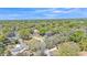 Aerial view showing a residential neighborhood with tree lined streets at 1316 Cambron Dr, Valrico, FL 33596