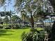 Beautifully landscaped backyard with lush green lawn, mature trees, and a glimpse of the waterway and docks at 5903 Cachette De Riviera Ct, New Port Richey, FL 34655