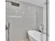 Updated shower with rainfall head and sleek fixtures at 12500 Green Oak Ln, Dade City, FL 33525