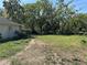 Expansive backyard featuring mature trees and an adjacent ladder at 3133 Washington Rd, Valrico, FL 33594