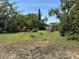 Spacious backyard with lush greenery at 3133 Washington Rd, Valrico, FL 33594