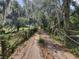 Unpaved driveway leading through wooded area with a fence on either side at 8922 Pritcher Rd, Lithia, FL 33547