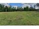 Grassy lot surrounded by a line of trees and brush under a bright, cloudy sky at 8922 Pritcher Rd, Lithia, FL 33547
