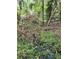 Natural landscape featuring trees, foliage, and a small body of water at 8922 Pritcher Rd, Lithia, FL 33547